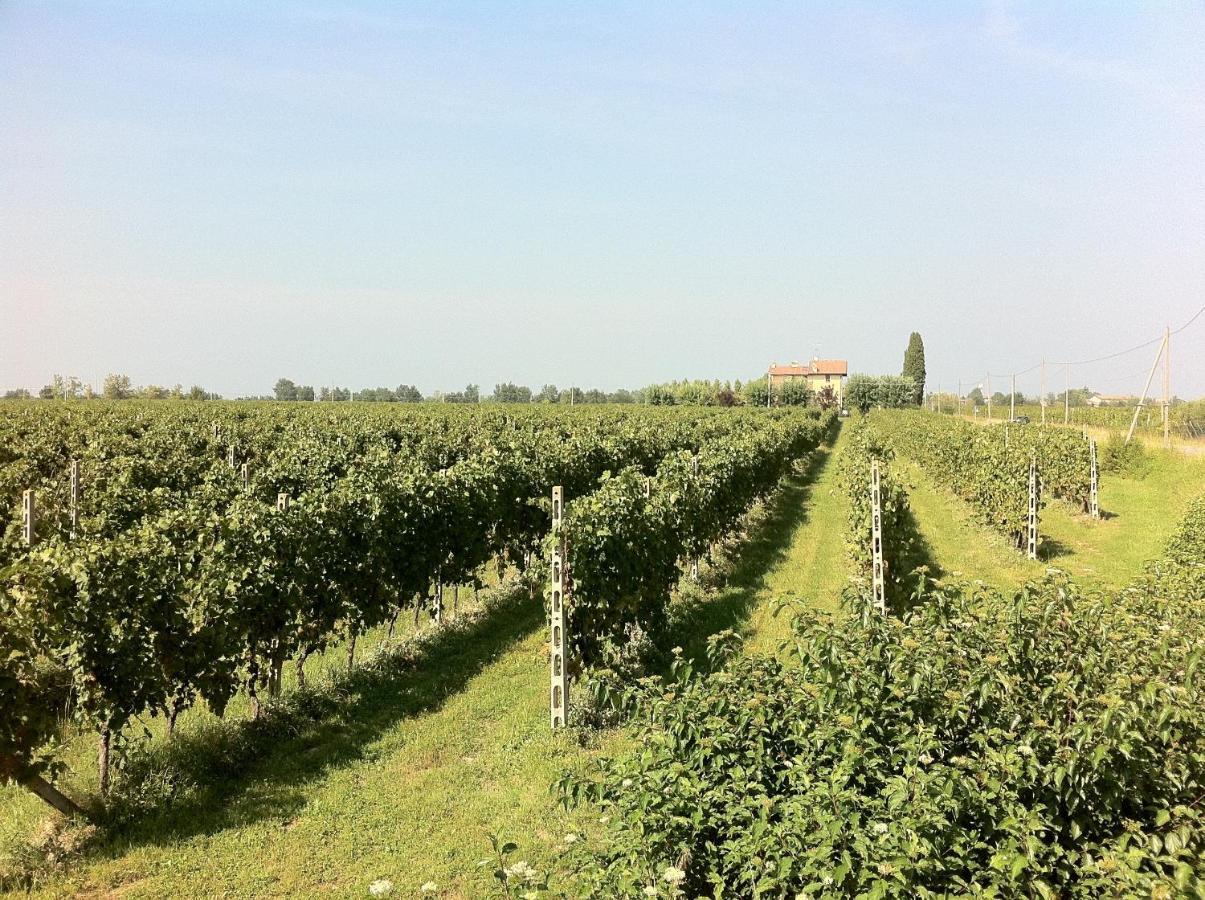 Cascina Tabachera X10 Country House Sirmione Garda Lake Pozzolengo Rum bild